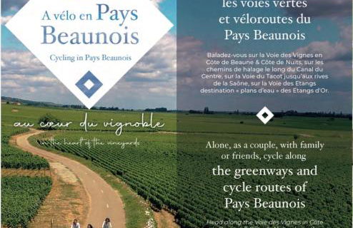 Escapade à Pommard - Foto 34