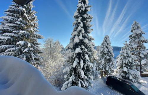 Haus Heidelberg - Foto 43