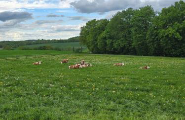 Eiselehof Ferienwohnungen in Alleinlage - Foto 60