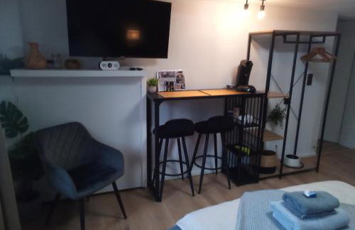 Forest Hill Travel &Work Nettes Apartment mit privatem Eingang Birkenau Mannheim Weinheim Heidelberg - Foto 20