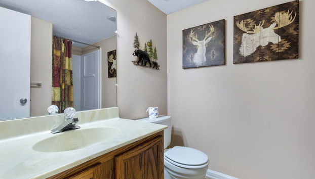 Servicios del alojamiento