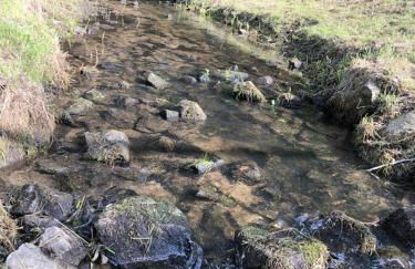 NEU! Bungalow am Kummerower See TOP - Foto 21