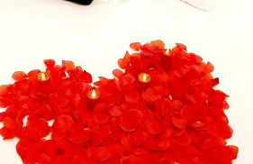 L'Orée des Champs - Photo 56