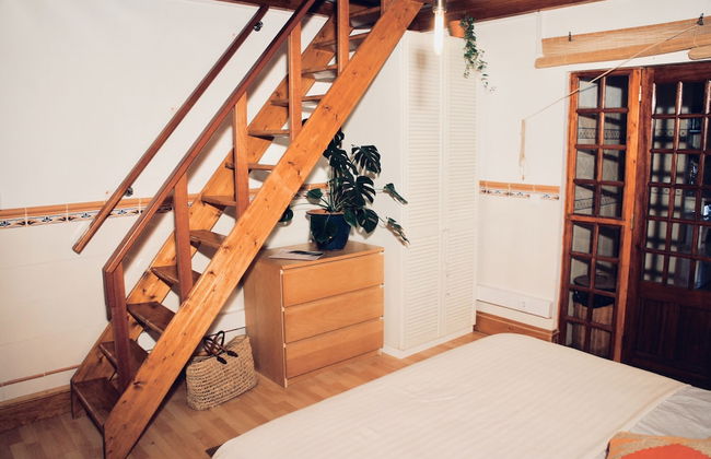 João Jungle - Foto 16