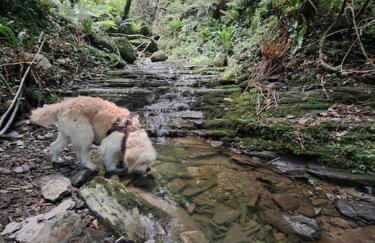 Casa Rural Gaztandizabal - Foto 4