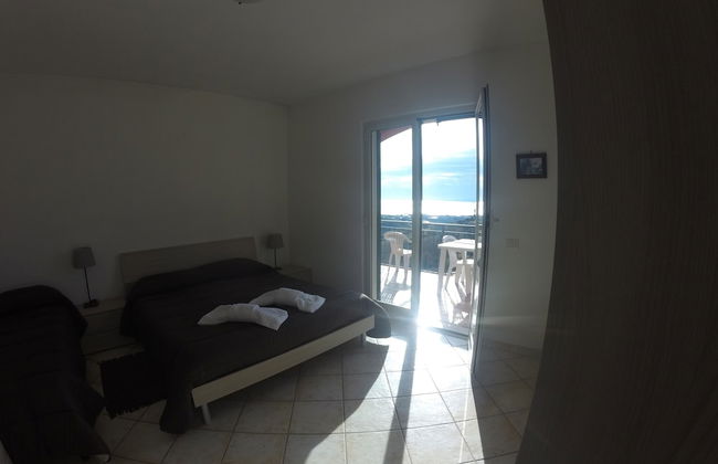 I Cardinali - Foto 3