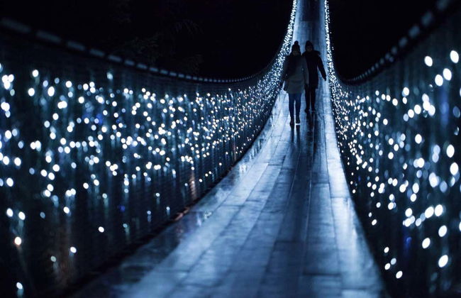 Tour natalino por Vancouver ou Victoria - Foto 2