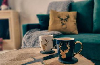 COSY CABINS - las, jezioro, góry,wyciąg Czorsztyn-Ski, prywatna sauna, jacuzzi bez limitu - Foto 45