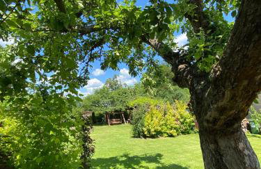 Chatka Czarny Bocian w Podgórzynie - Foto 16