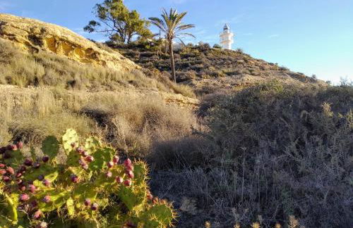 Villamar - Relax, Sol y Playa - Photo 45