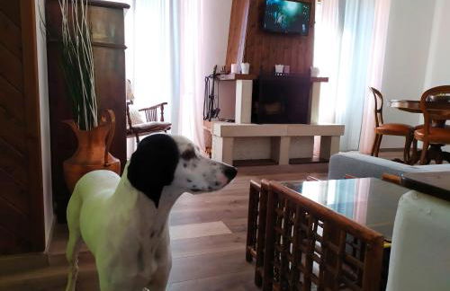 Casa Violina - Foto 25