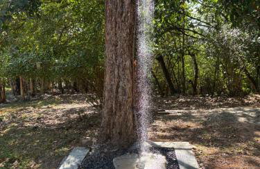 Granja Vale das Águas - Foto 40