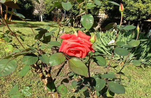 Casetta Esmeralda - Foto 21