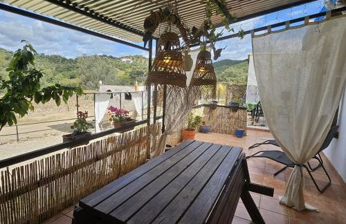 Experience Alpacas in Andalucia - Foto 17