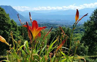 Coquette maison à la campagne avec SPA nage Bizone - Foto 11