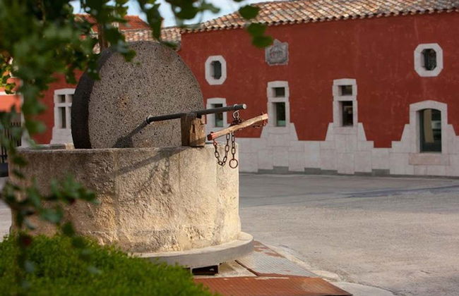 Argiolas Winery Trip - Foto 2