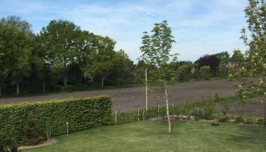 Ferienwohnung Haus Bikker - Foto 4