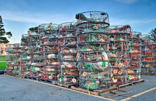 Unique Dog-Friendly Log Cabin Short Walk to Ocean - Foto 27