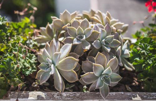 Apartments Jug - Foto 50