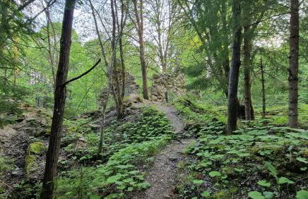 Two Apartaments Almberg - Mitterdorf-Mitterfirmiansreut - Foto 43