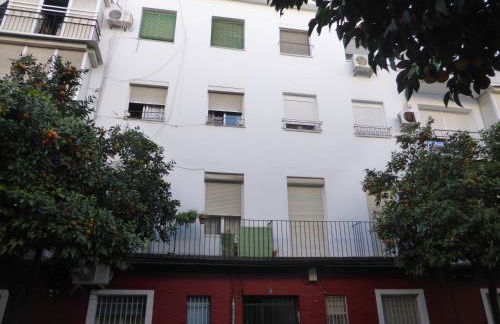 Esencia Sevilla - Foto 52