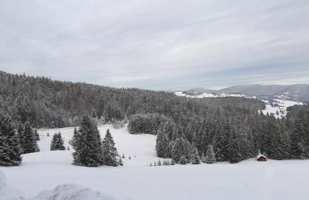 Daheim im Geissetal - Foto 34