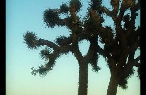 Steph's Panorama Paradise-Nat'l Park minutes away - Foto 6