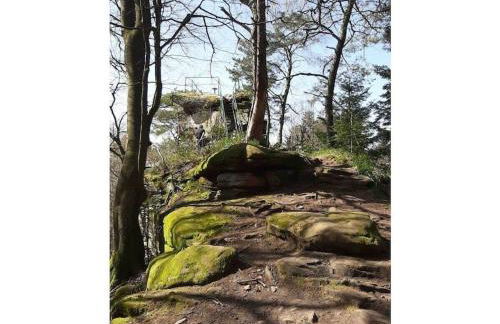 Haus am Kirchberg in Vita Garden - Foto 17