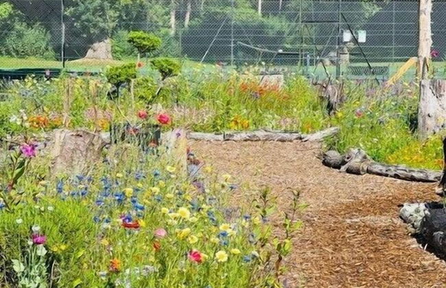 Whitmoor Farm - Foto 55