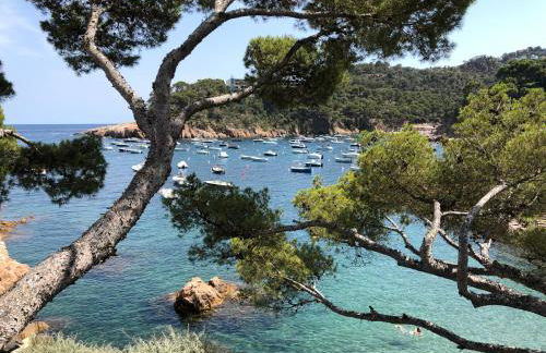 Illa Blanca Mar Fornells - Foto 1