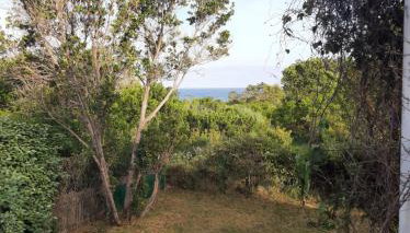Mini Villa à 100m de la mer avec prise de recharge privative 3,6kw - Photo 3, Garden