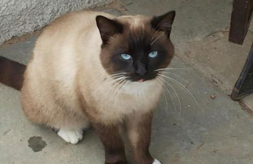 Agriturismo Vigna Mai - Foto 33