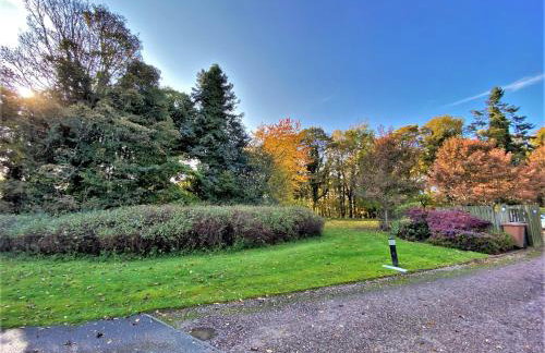 Grampian Serviced Apartments - Treetops Apartments - Photo 16