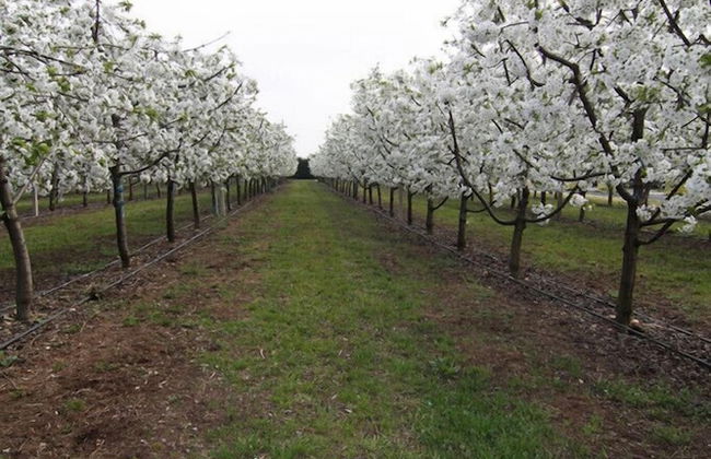 Agriturismo Bacche di Bosco - Foto 38