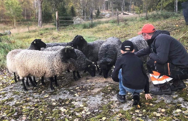 8 Person Holiday Home in Karlskrona - Foto 19