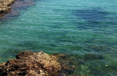 Agriturismo Salinola - Foto 104