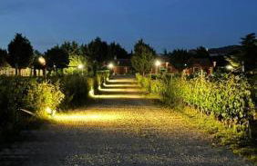 FINCA ENTREVIÑEDOS de Bodegas Marcos - Foto 31