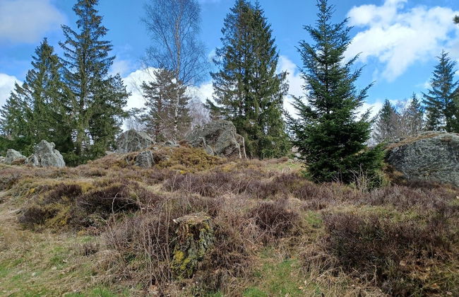 Schones Ferienhaus mit Grossem Garten bei Stadlern - Foto 26