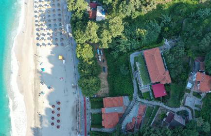 Ammos papanero - Foto 6