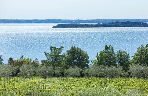 Agrigturismo Monte Cicogna - Foto 28