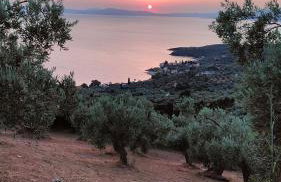 erofili apartments - Photo 58