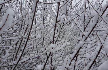 Apartamento LA MONTESA - Foto 59