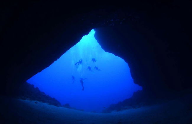 Immersione a Fernando de Noronha - Foto 5