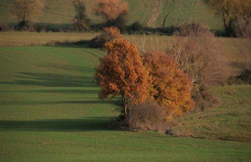 Il Nido di Gabbiano - Foto 27