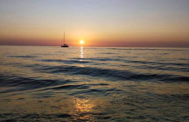 Sa Paxi Arbus - Foto 50