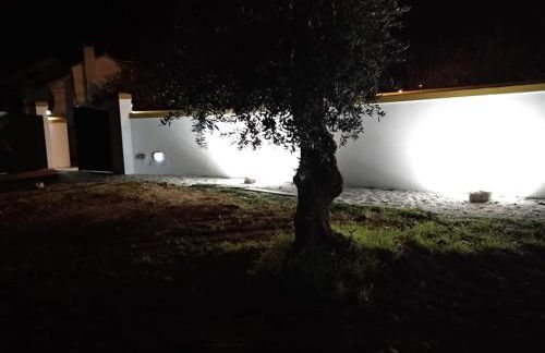 Villa Rominha Alvaiázere - Casa do Rancho - Foto 20