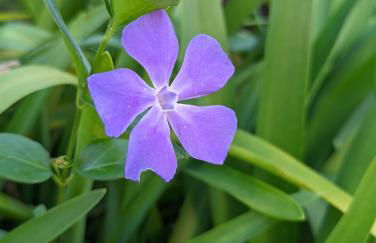 Casa da Mata - Foto 46