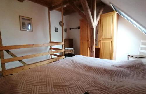 Boddenhus auf Rügen - Ferienwohnungen und Pension - Foto 58