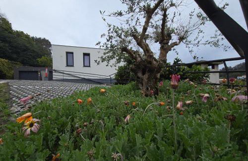 Casa do Manuel - Foto 58