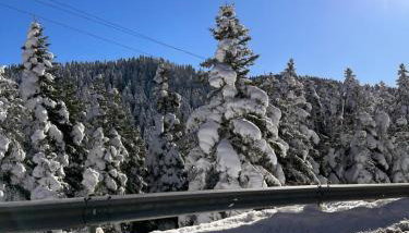 Elati Mansion - Foto 4